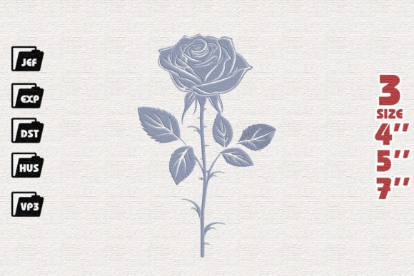 Beautiful Rose Flower
