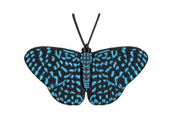 Hamadryas Butterfly Embroidery Design