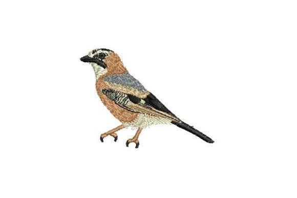 Jay Bird: A Seasonal Embroidery Standout