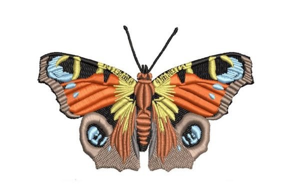 Peacock Butterfly